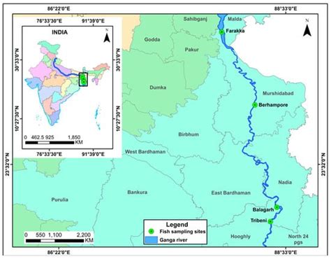 Stock Status of a Few Small Indigenous Fish Species Exploited in the ...
