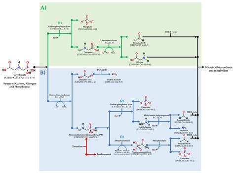Glyphosate Pollution Treatment and Microbial Degradation Alternatives ...