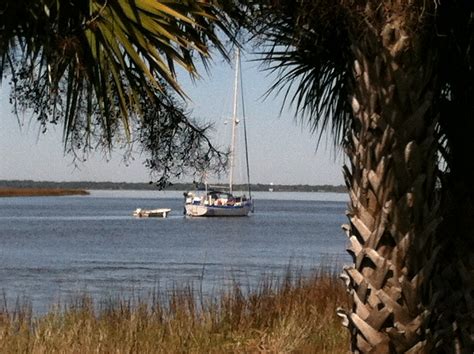 The barrier islands off the Georgia coast - Kate Vale