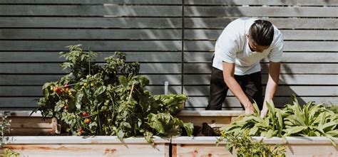 Ways To Protect Your Harvest In Garden