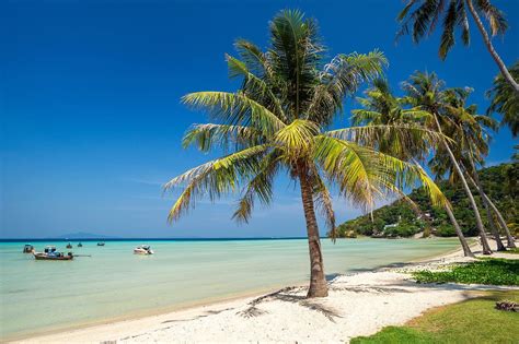 10 Best Family Things to Do in Phi Phi - What to Do for Fun in Phi Phi ...