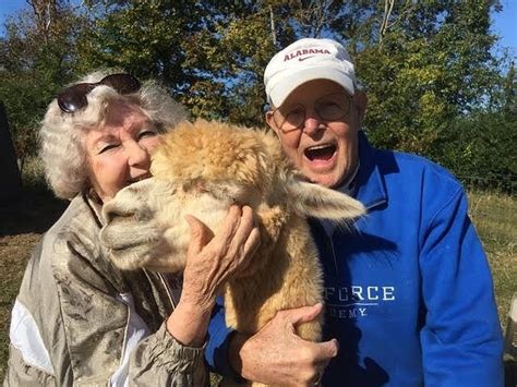 ALPACA FARM TOURS (2024) All You Need to Know BEFORE You Go (with ...