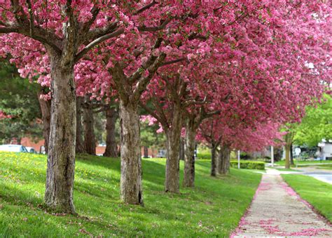 Local Economy 的图像结果