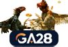 AMBIL SEKARANG