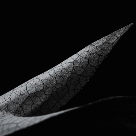 Can Bio Based Textile Alternatives Truly Reduce Landfill Volume? → Question