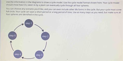 Cycle Model Example 的图像结果