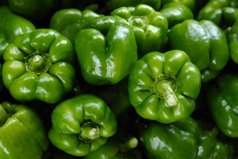 Green Bell Pepper Lot · Free Stock Photo