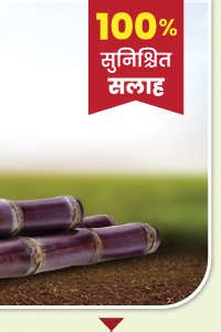 Agri Shop