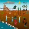 Write a case study on landfill crysis created by polythene bags and ...