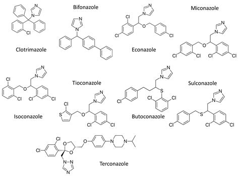 Emerging Antifungal Targets and Strategies