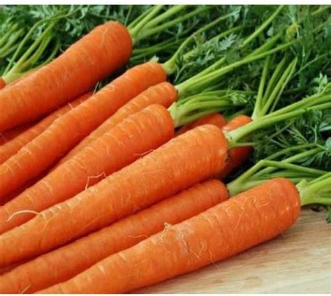 Fresh Carrot Exporter,Fresh Carrot Export Company from Malappuram India