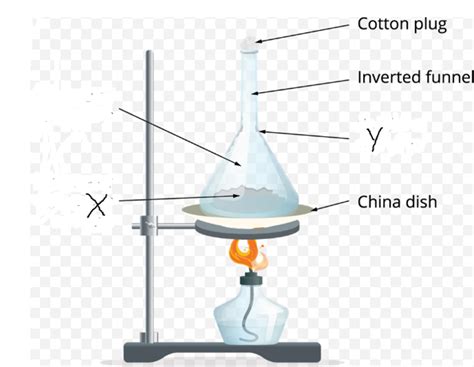 Multiple Choice Question Answer V — task. Science CBSE, Class 9.