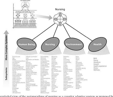 Image result for Complex Adaptive System Model