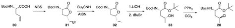 Natural and Synthetic Halogenated Amino Acids—Structural and Bioactive ...