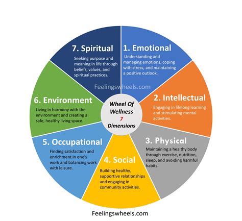 Exploring The Wheel Of Wellness