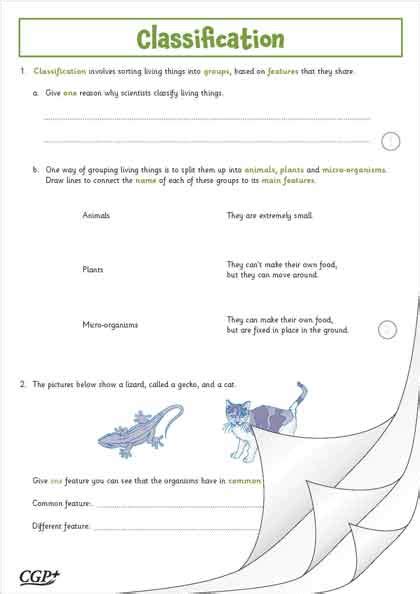 Classification Science P6 的图像结果