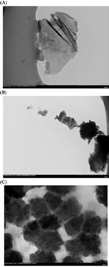 Construction of Bi-Enzyme Self-Assembly Clusters Based on SpyCatcher ...
