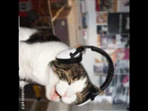Image result for Cat Generator Control Module