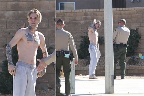 Aaron Carter shows where cops 'broke down' his door after possible OD call