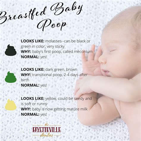 Breastfeeding Baby Foamy Poop at Brock Clemes blog