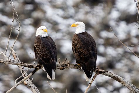 Moments of Wonder - January 2025 — Jennifer Carr