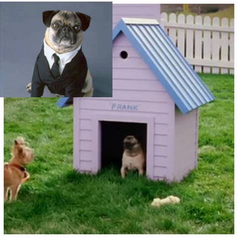 In 2003's, *The Cat In The Hat*, there's a breif scene of Pug in a dog ...