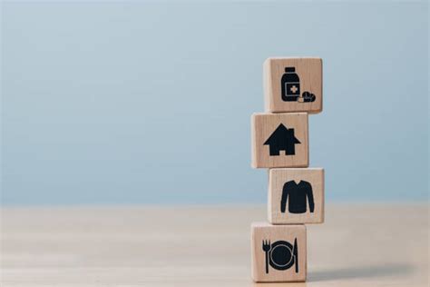 Image result for Satifying Basic Need