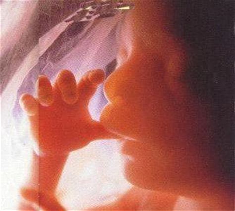 准妈妈必读：胎儿宫内缺氧的几个信号-搜狐母婴