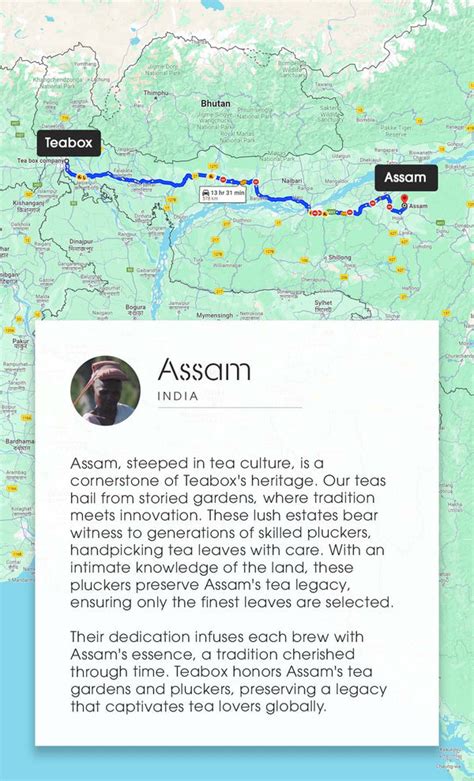 Buy 2025 Classic Assam Black Tea Online | Teabox