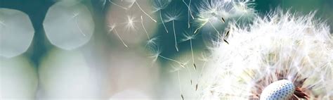 Proper Estate Planning – How to Plan for Your Death : Farmers Insurance®