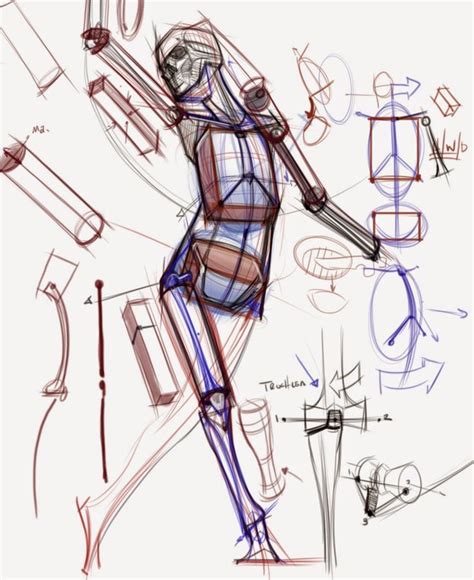 Anatomy Figure Drawing Art – Warehouse of Ideas