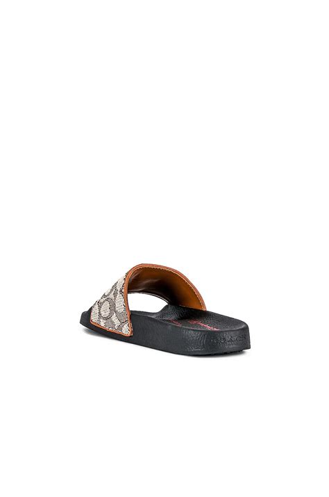 Coach Disney Parks Sports Slide in Cocoa | REVOLVE