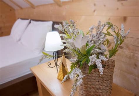 Brvnare Bor (Zlatibor, Srbija) | Turistički Centri, Hoteli i Apartmani ...