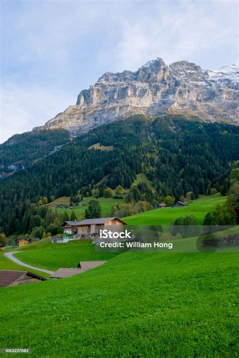 Alps Encoder 的图像结果