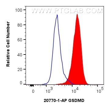 GSDMD antibody (20770-1-AP) | Proteintech