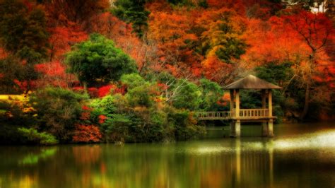 Computer Wallpaper Fall Scenes 的图像结果