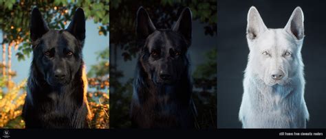 Image result for Real-Time Fur Unity