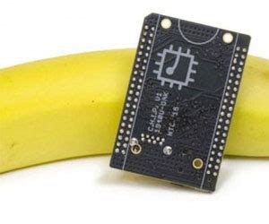 Image result for 10 Dollar Computer