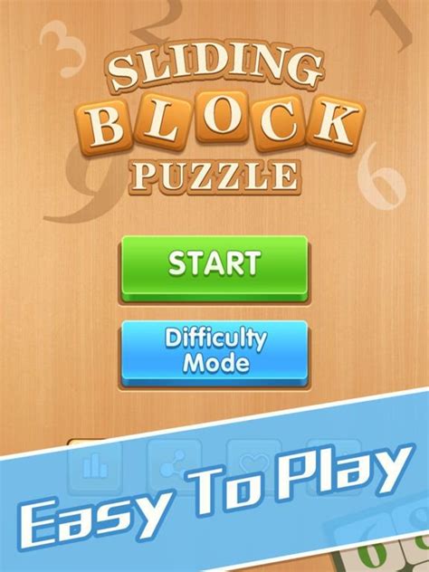 Sliding Block Puzzle 的图像结果