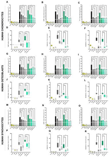 β Boswellic Acid Blocks Articular Innate Immune Responses: An In Silico ...