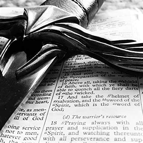 Numbers 35 (The law for handling murderers) : Amazon.in: Audible Books ...