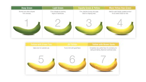 Image result for Java Power of 2 Check