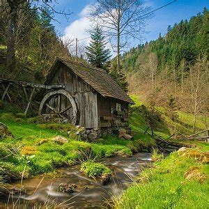THE 10 BEST Places to Visit in Hinterzarten (2026)