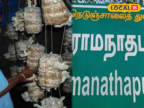 இலவச காளான் வளர்ப்பு பயிற்சி..... யாரெல்லாம் விண்ணப்பிக்கலாம்... முழு ...