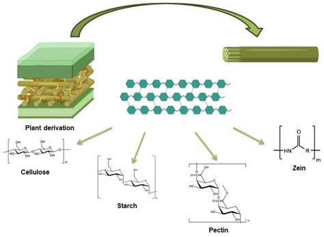Polysaccharide Hydrogels as Delivery Platforms for Natural Bioactive ...