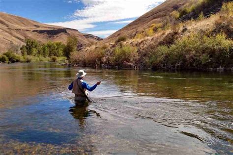 Arkansas Fishing License: Requirements, Fees & How to Get One in 2024 ...