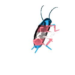 Dancing Cockroach Meme 的图像结果