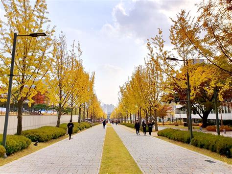 Yonsei University & getting there - KoreaToDo