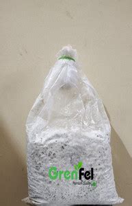 grenfel Mushroom 400 Gm White Mushroom Mushrooms 1st Generation Spawn ...