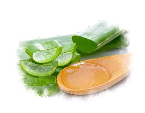 Top 10 Home Remedies for Fungal Infection according Ayurveda